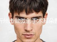 忻州市做微创手术耳朵整形美容外科价格表(价目)详情呈现(10月-4月做微创手术耳朵均价为：52024元)